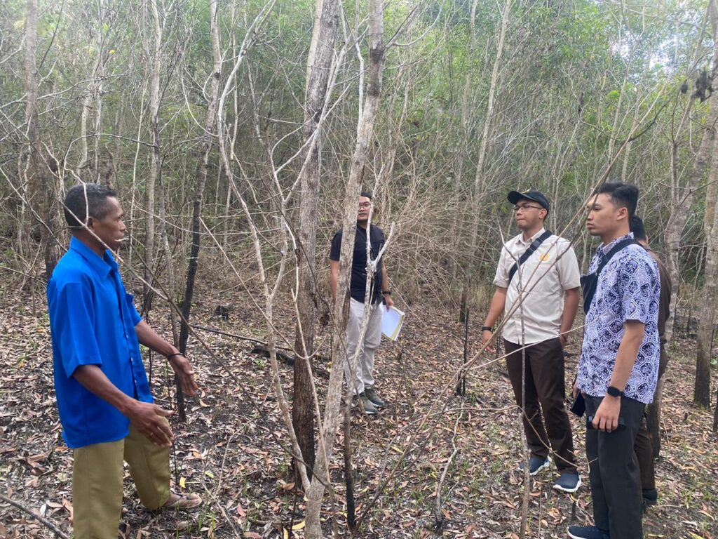 News Image 2