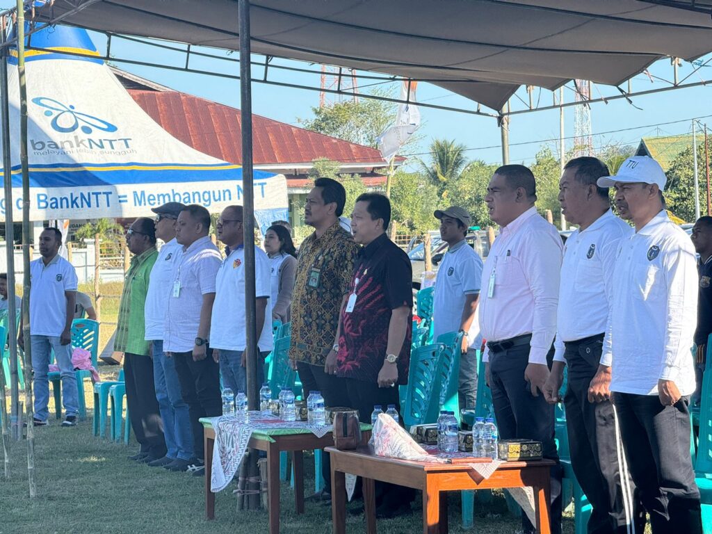 News Image 2