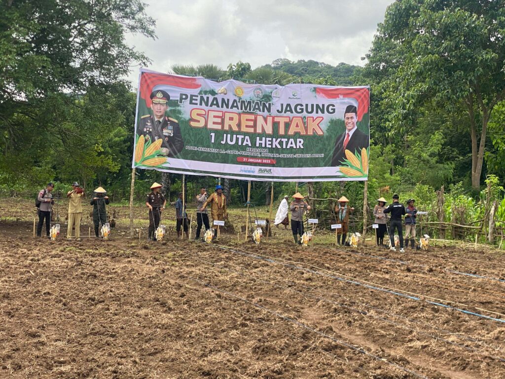 News Image 2
