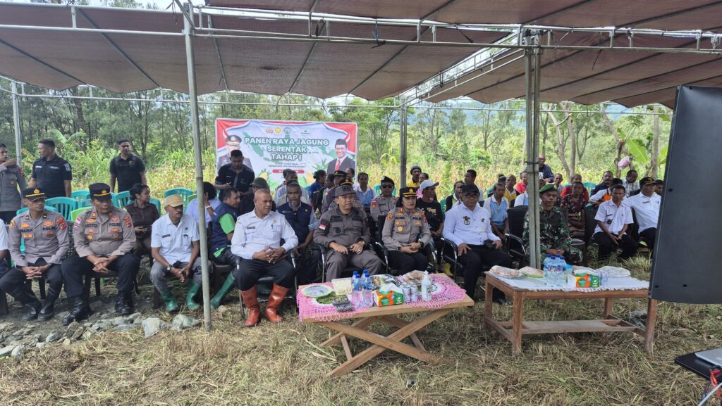 Zoom Meeting dan Panen Jagung Serentak Tahap I di lahan perkebunan atau lahan lainnya dalam rangka mendukung swasembada pangan Tahun 2025
