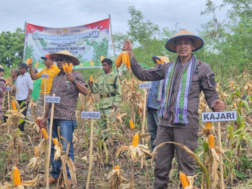 Kejari TTU Mengikuti Kegiatan Panen Raya Jagung Serentak Kuartal II Polres TTU