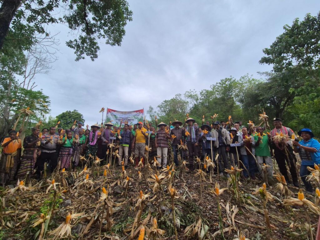 News Image 4