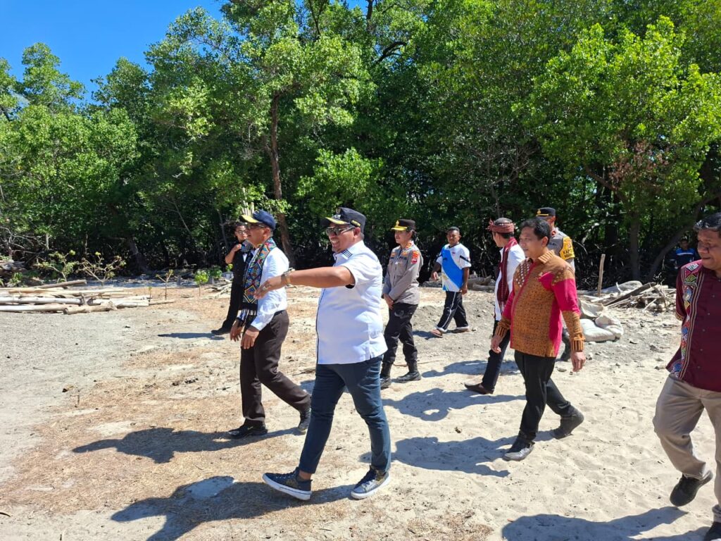 News Image 2